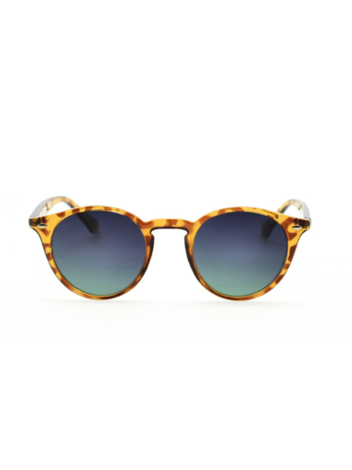 Naočare za decu - Alpha